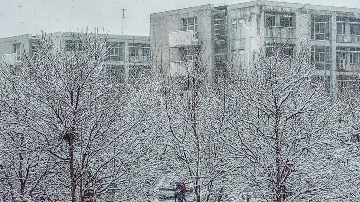 10 Tips for Surviving a Canadian Winter